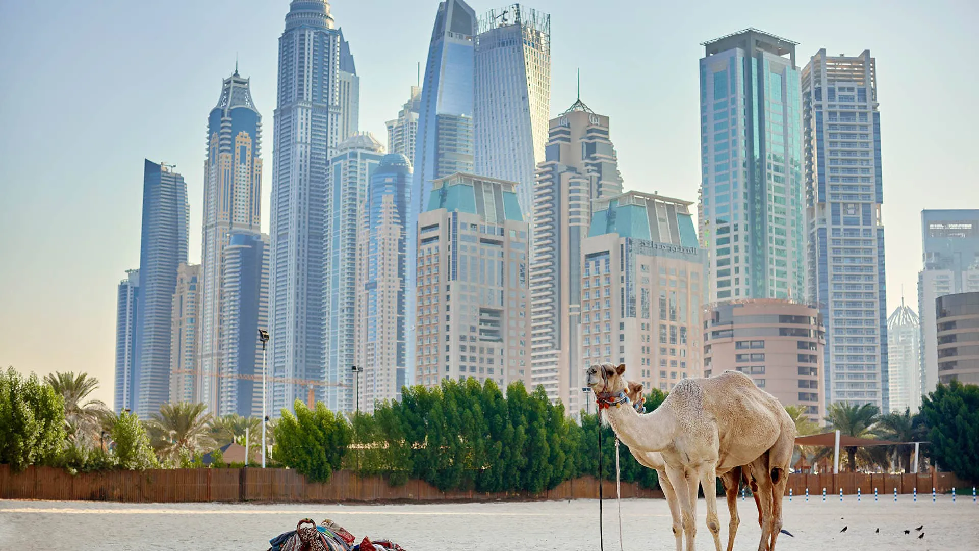 How to Buy Property in Dubai as a Foreigner Ax Capital